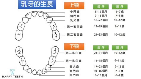 牙齒小顆的人|一顆牙齒特別小，怎麼辦？說明什麼是小牙症，矯正治。